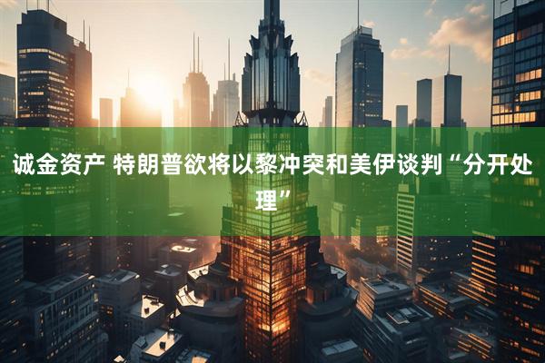诚金资产 特朗普欲将以黎冲突和美伊谈判“分开处理”